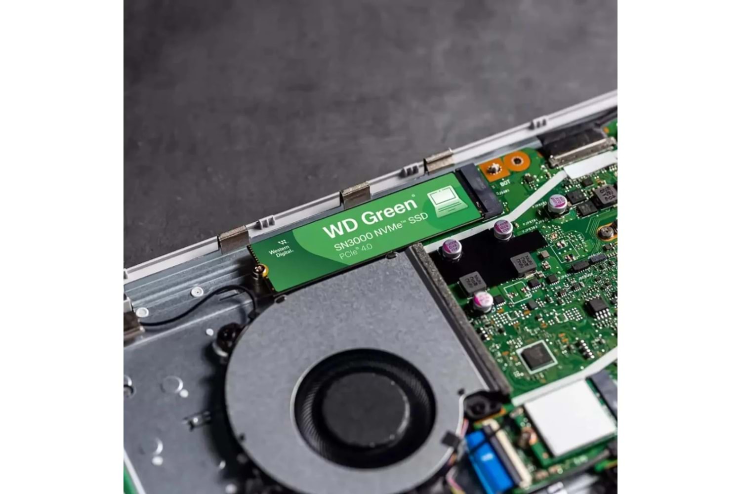 WD Green SN3000, WDS500G4G0E, 500GB, 5000/4000, Gen4, NVMe PCIe M.2 2280, SSD