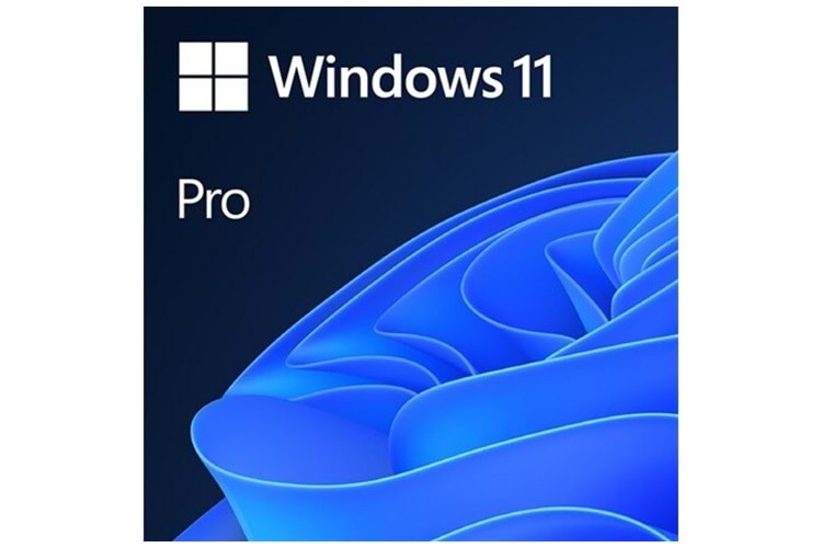 Microsoft Windows 11 Pro 32/64 Bit TR-ING ESD Elektronik Lisans (FQC-10572)