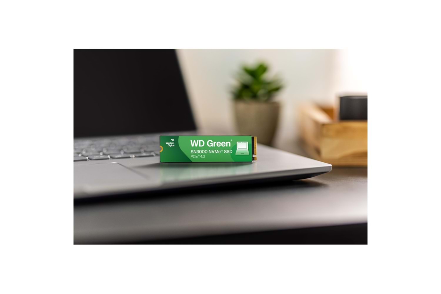 WD Green SN3000, WDS200T4G0E, 2TB, 5000/4000, Gen4, NVMe PCIe M.2 2280, SSD